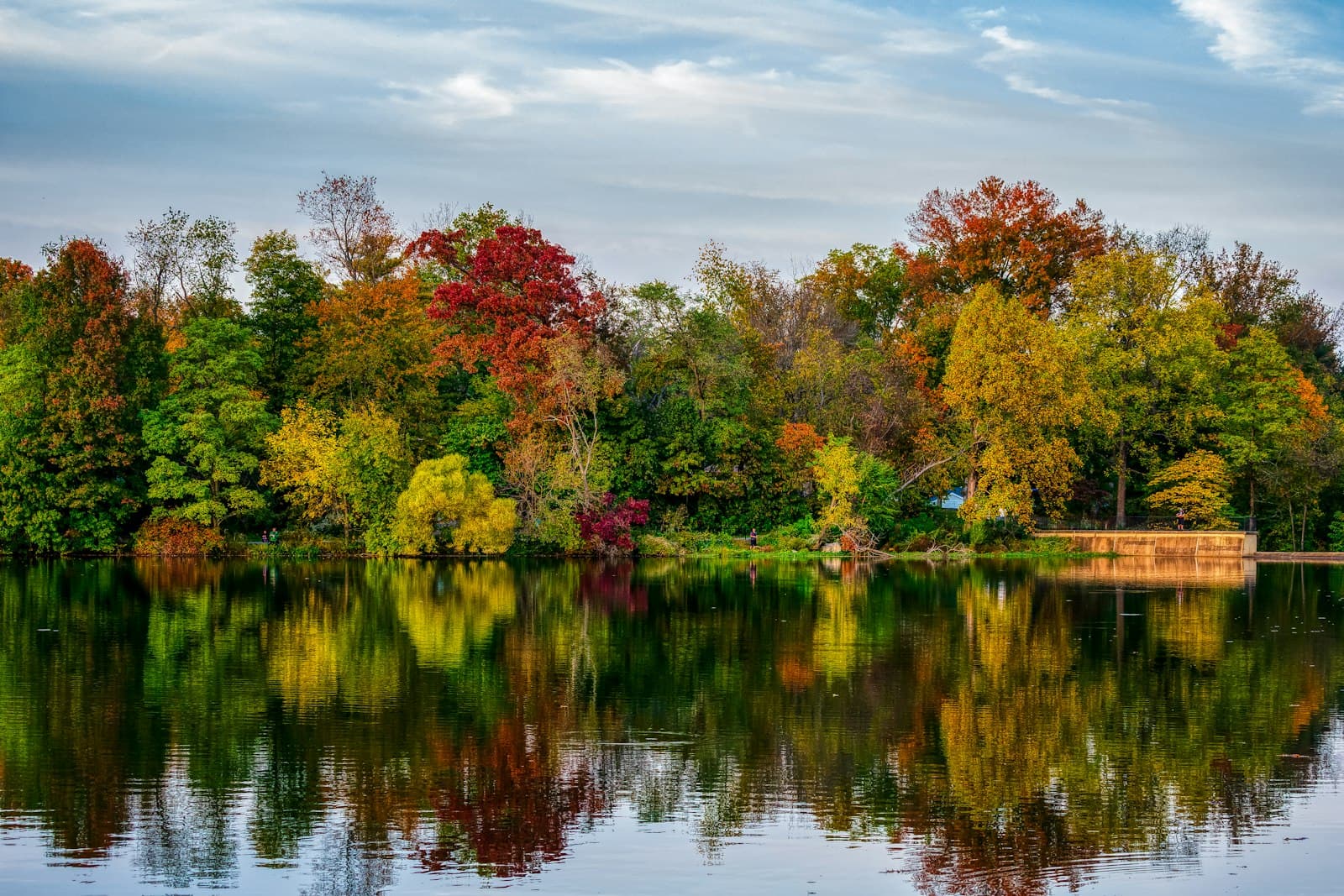 Autumn trees beside a lake in Columbia, MD, one of the village areas Columbia SEO plans cover